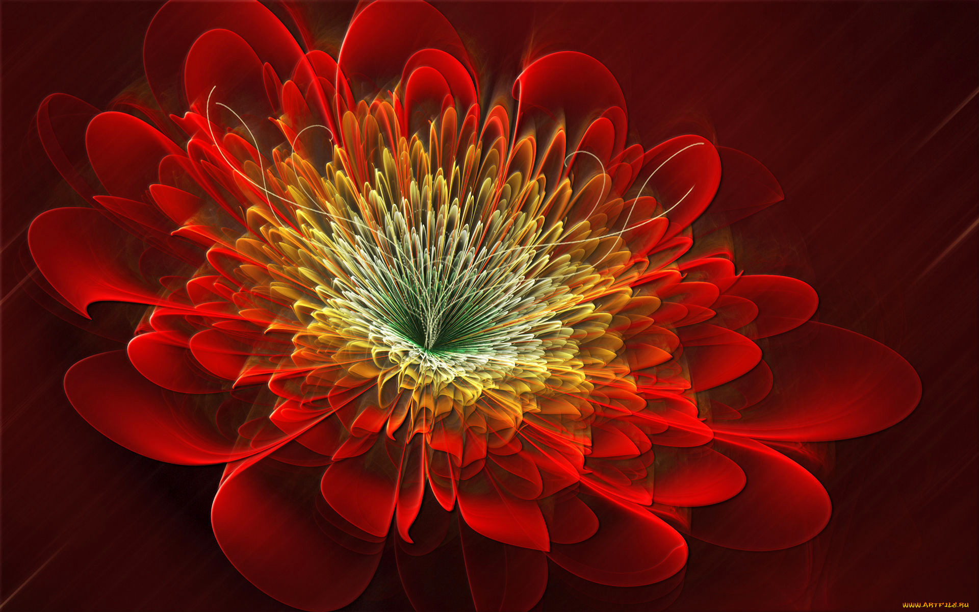 3 ,  , flowers, , 